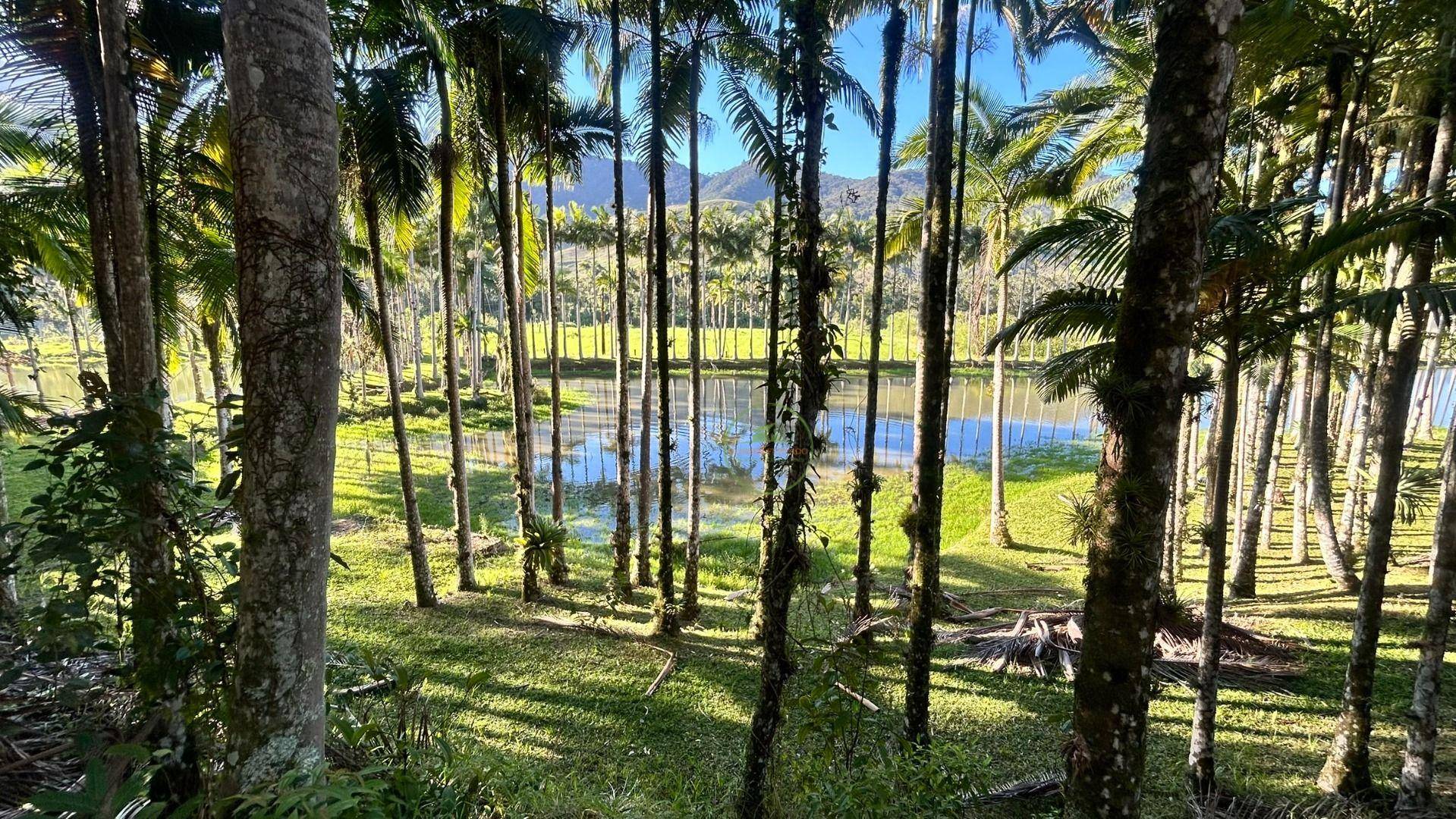 Sítio, 19 hectares - Foto 41