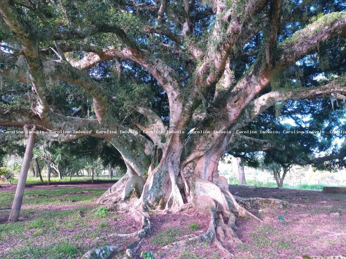 Fazenda à venda, 160000m² - Foto 26