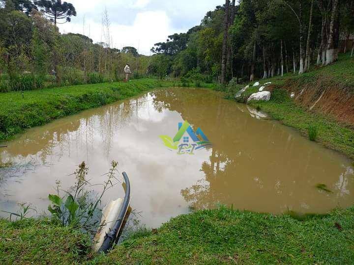 Chácara à venda com 3 quartos, 100m² - Foto 12