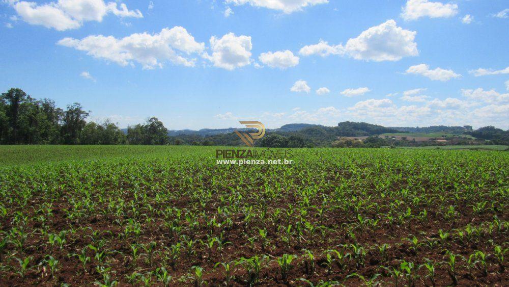 Loteamento e Condomínio à venda, 108000m² - Foto 7