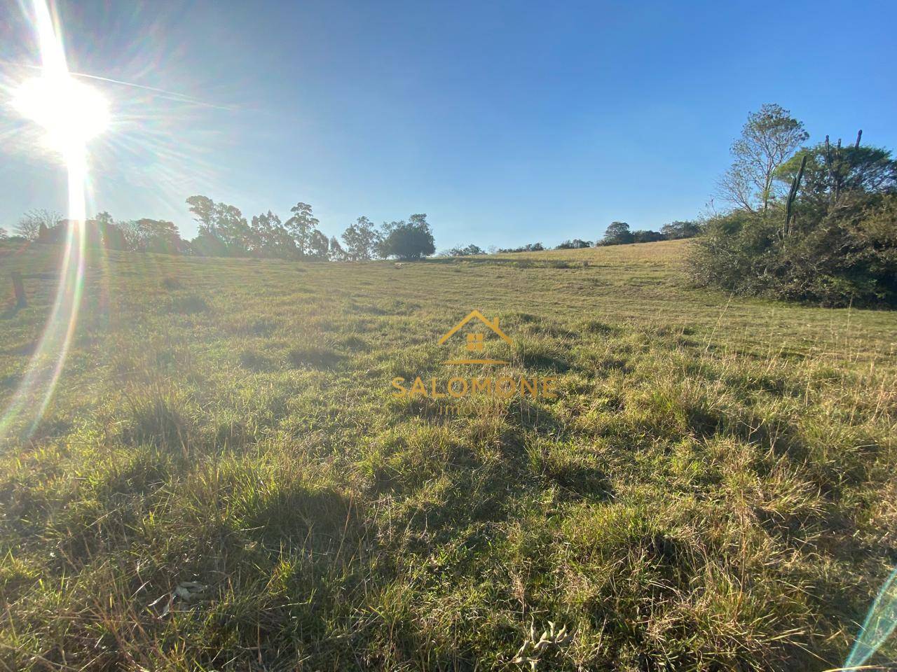 Sítio, 13 hectares - Foto 11