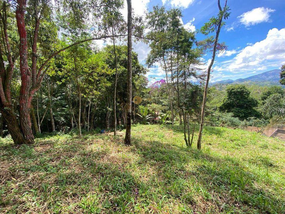 Terreno à venda com 1 quarto, 4000m² - Foto 5