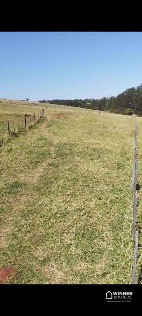 Terreno, 2 hectares - Foto 1