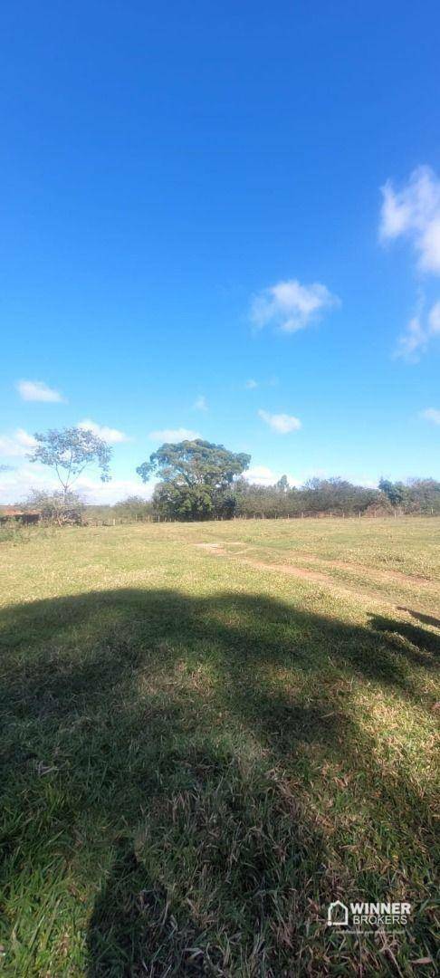 Chácara, 2 quartos, 10000 m² - Foto 2