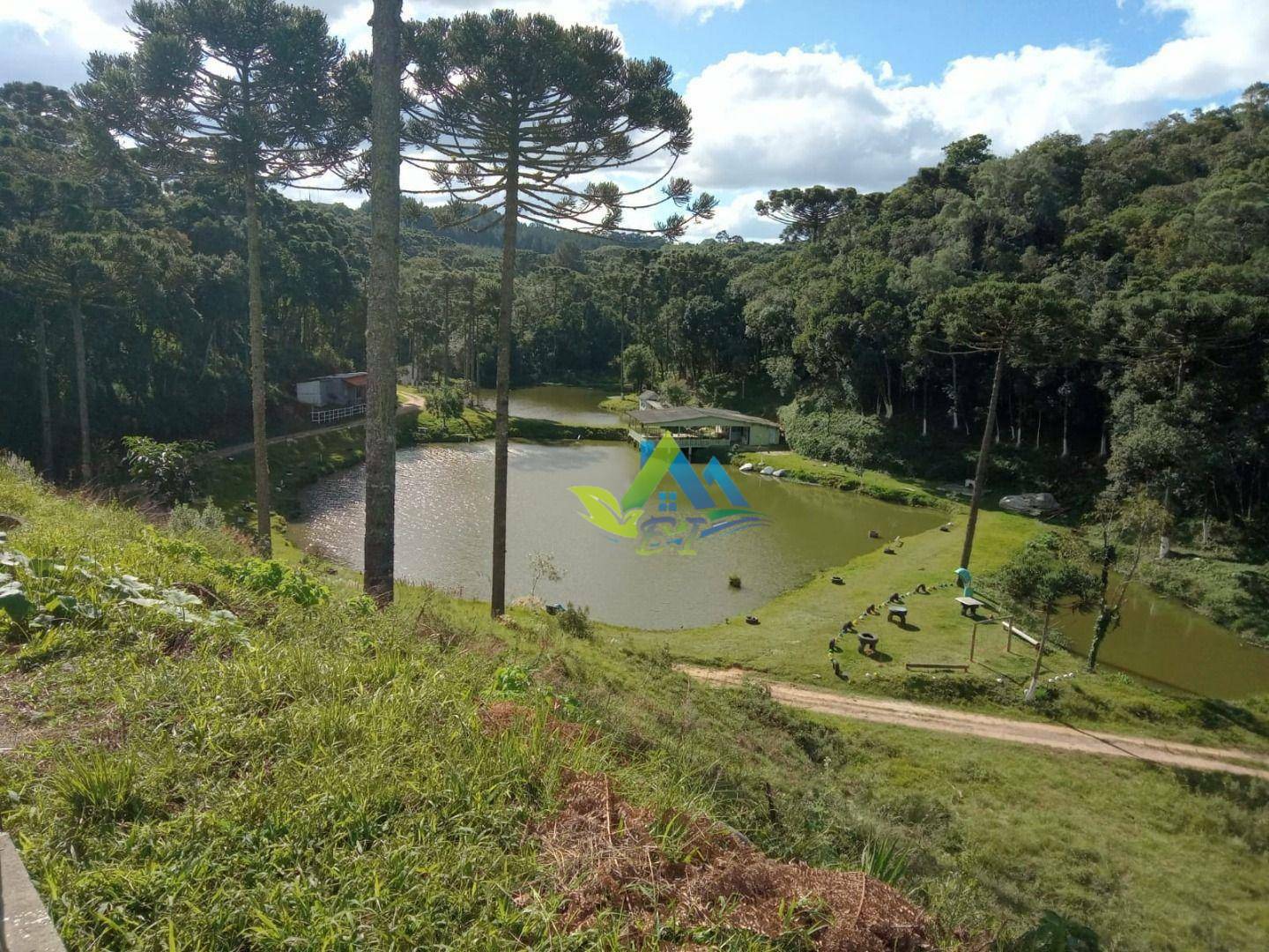 Chácara à venda com 30 quartos, 85000M2 - Foto 16