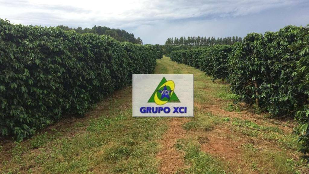 Fazenda-Sítio-Chácara, 101640 hectares - Foto 22