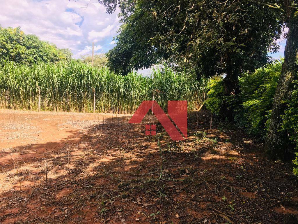 Terreno à venda, 2000M2 - Foto 6