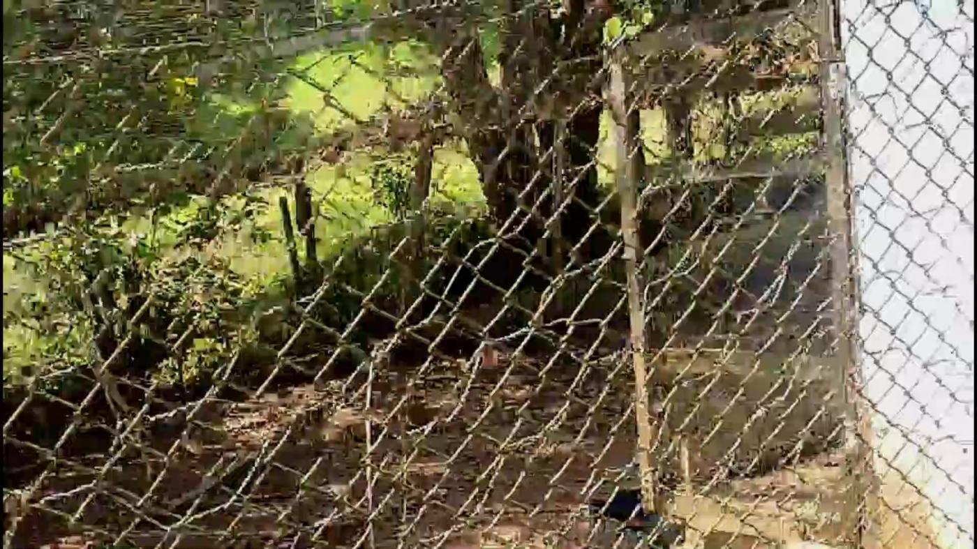 Chácara à venda com 3 quartos, 4500m² - Foto 39
