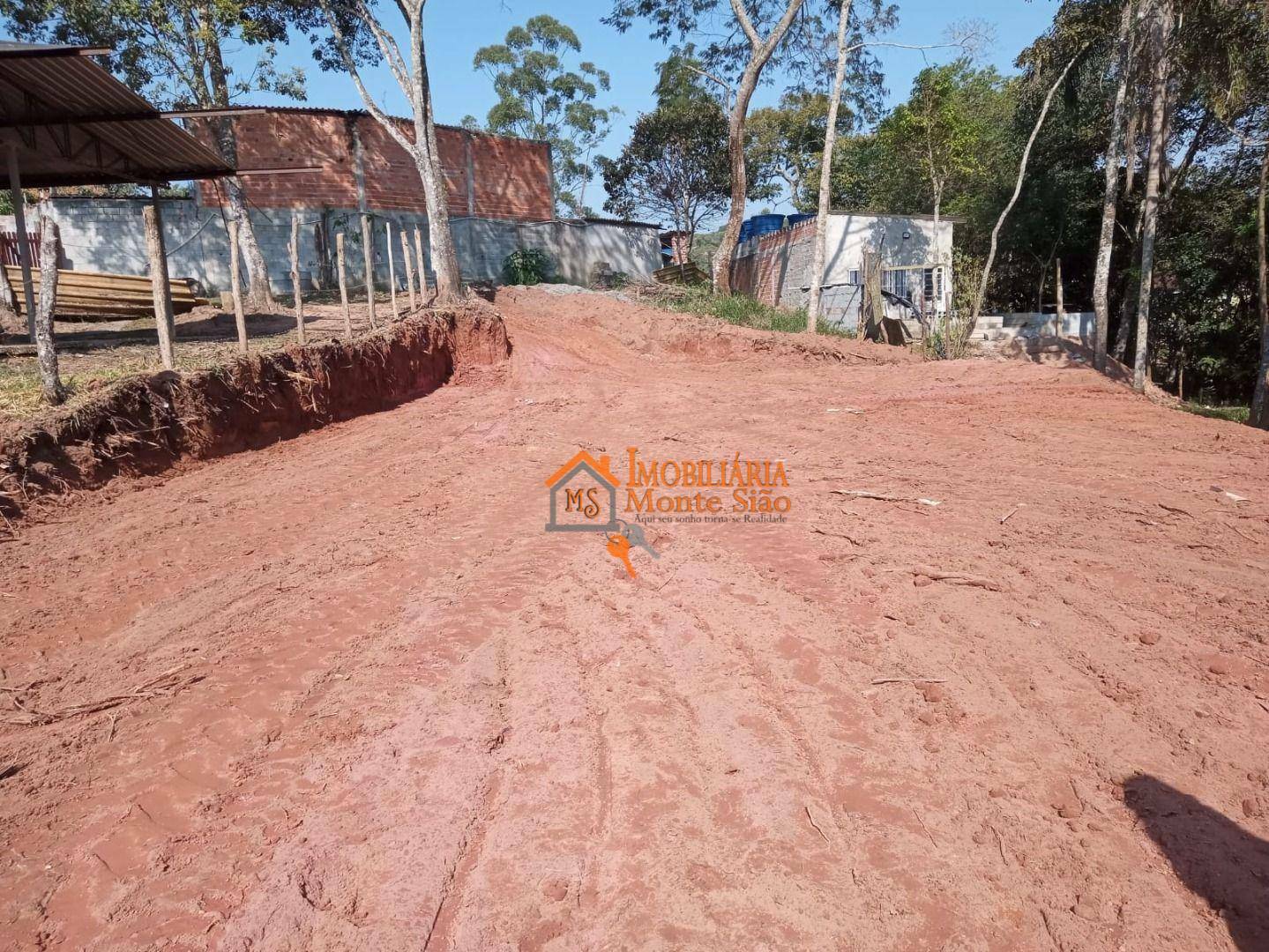 Terreno à venda, 5000M2 - Foto 4
