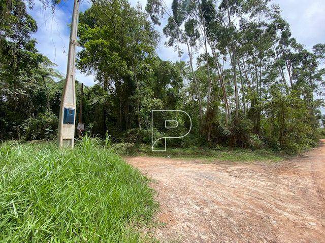 Terreno, 7984 m² - Foto 1