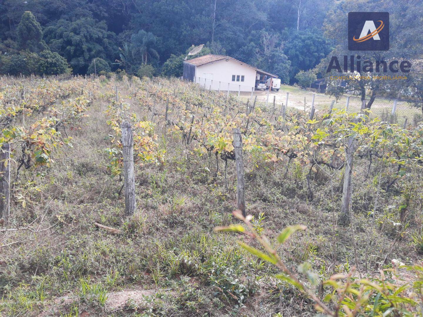 Terreno à venda, 1632M2 - Foto 11