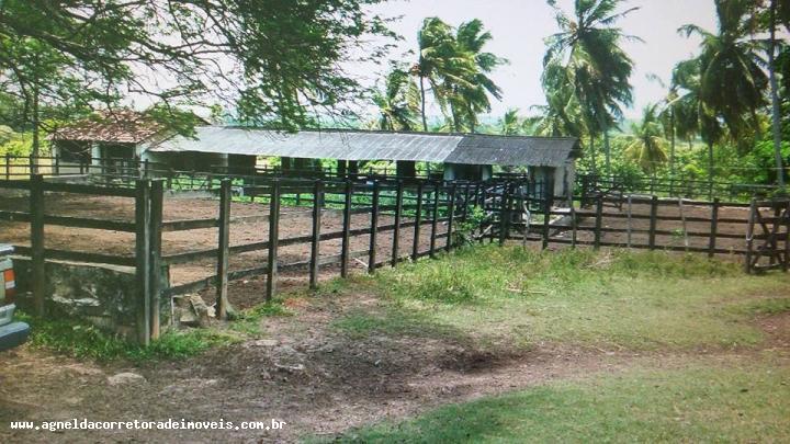 Fazenda à venda com 3 quartos, 170m² - Foto 9