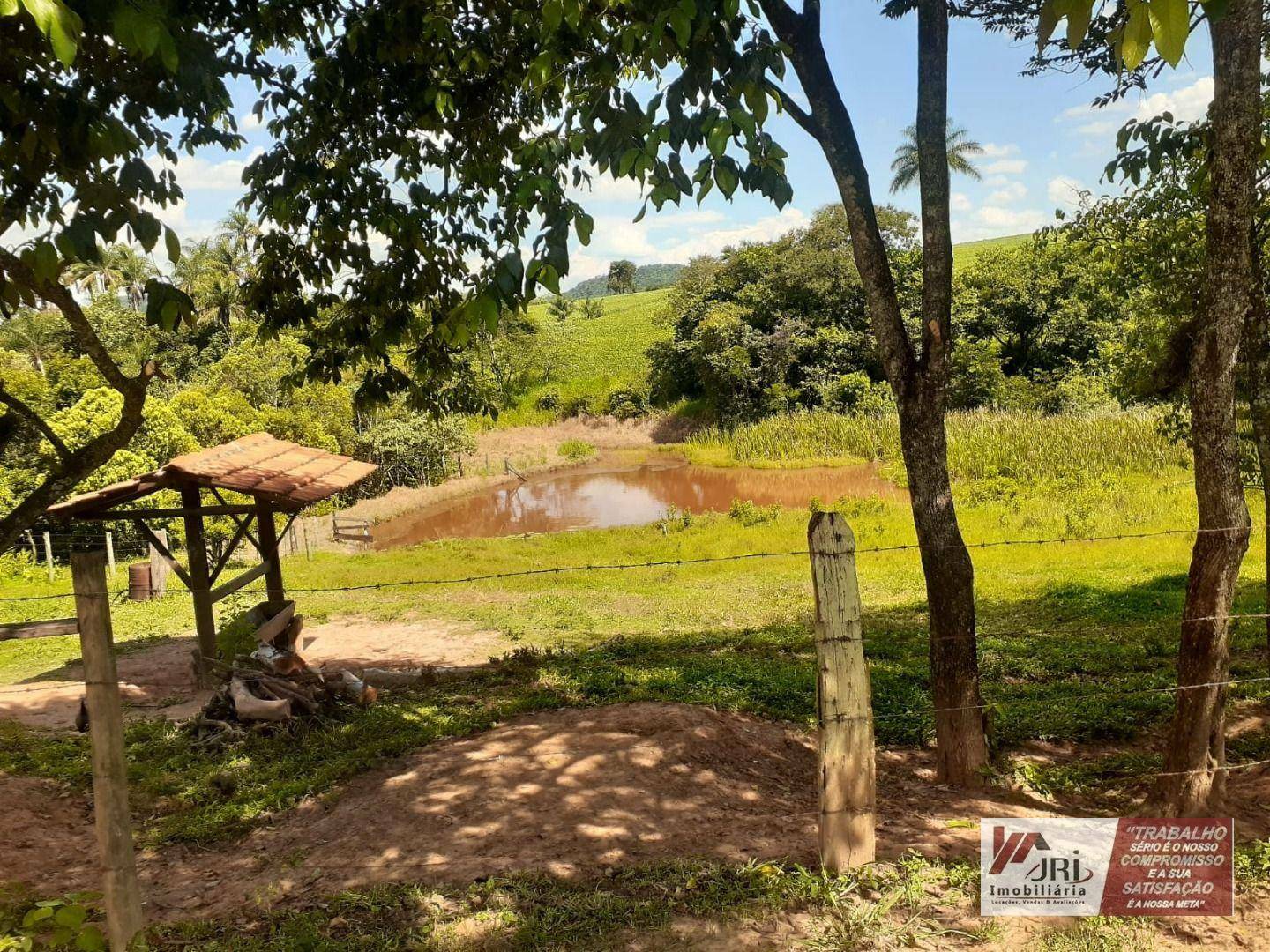 Sítio à venda com 3 quartos, 6000M2 - Foto 1