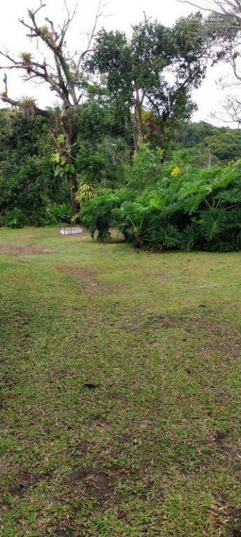 Chácara à venda com 3 quartos, 66150M2 - Foto 50