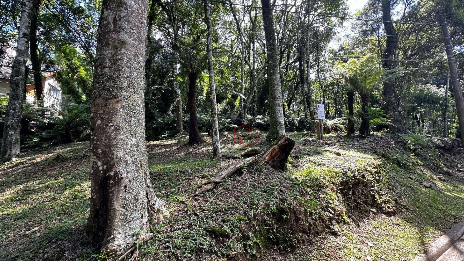 Loteamento e Condomínio à venda, 1024M2 - Foto 1