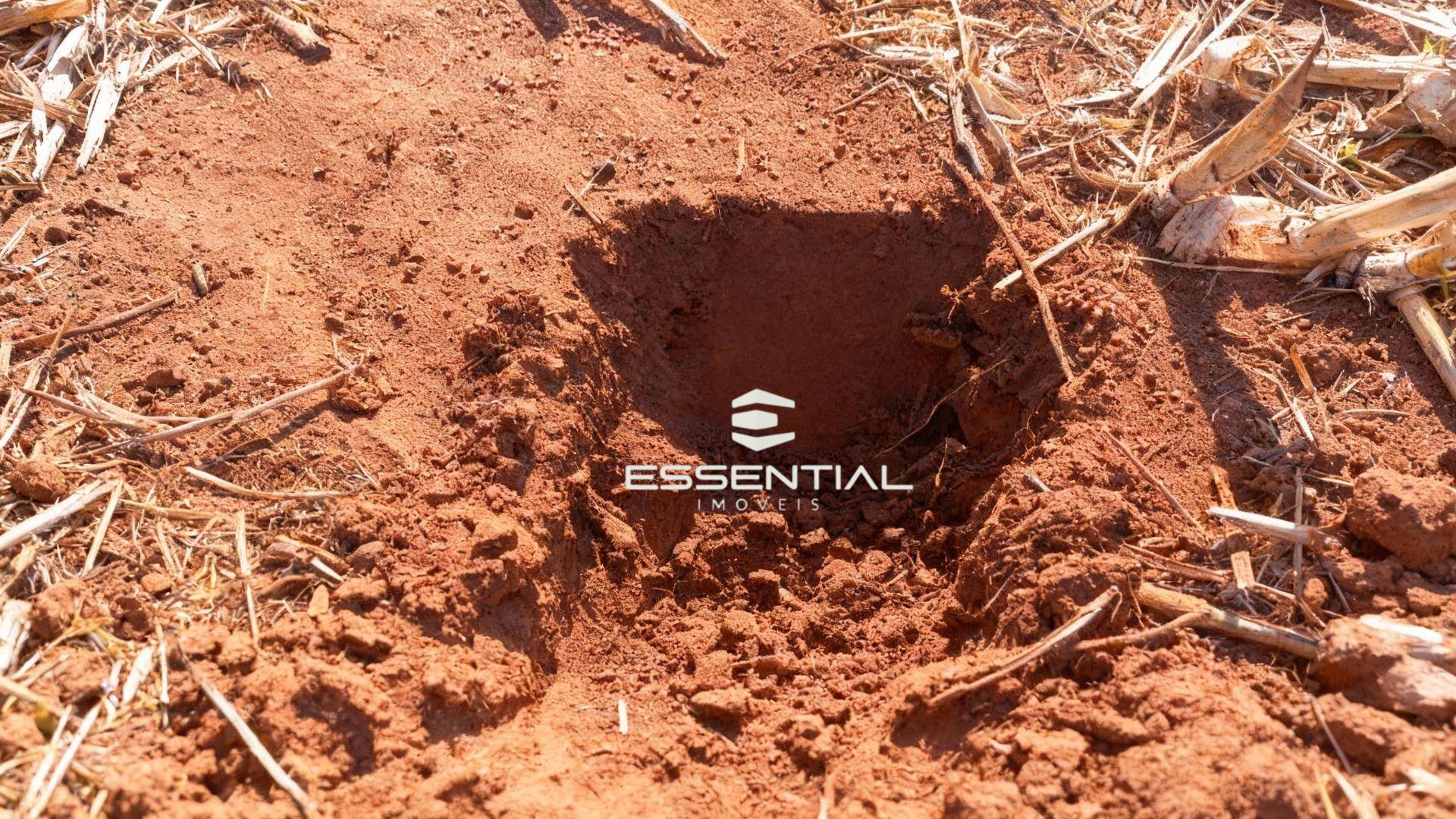 Fazenda, 1143 hectares - Foto 2