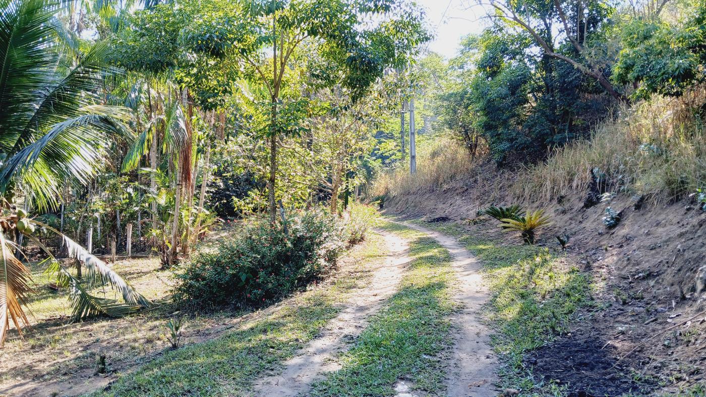 Fazenda à venda com 3 quartos, 100000m² - Foto 13