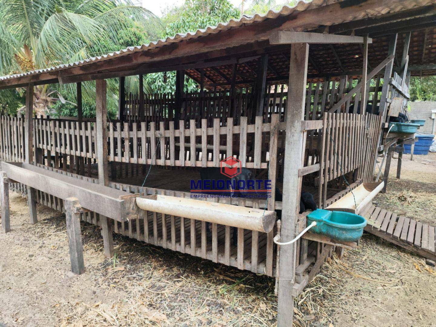 Fazenda à venda com 3 quartos, 24000M2 - Foto 24