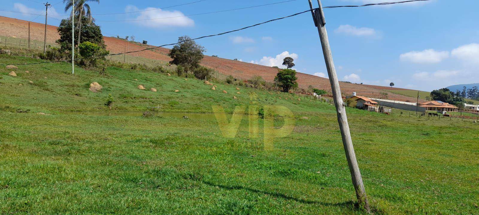 Terreno à venda, 3000M2 - Foto 6