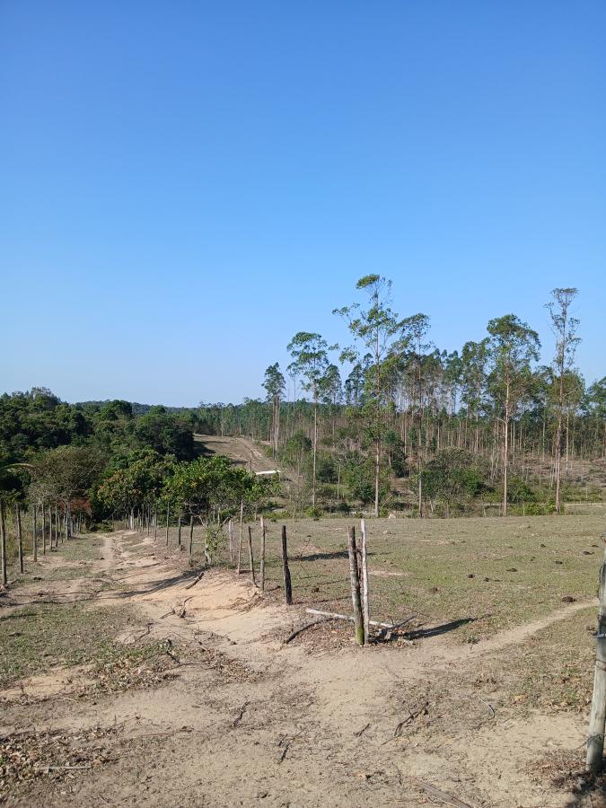 Fazenda à venda com 1 quarto, 96000m² - Foto 14