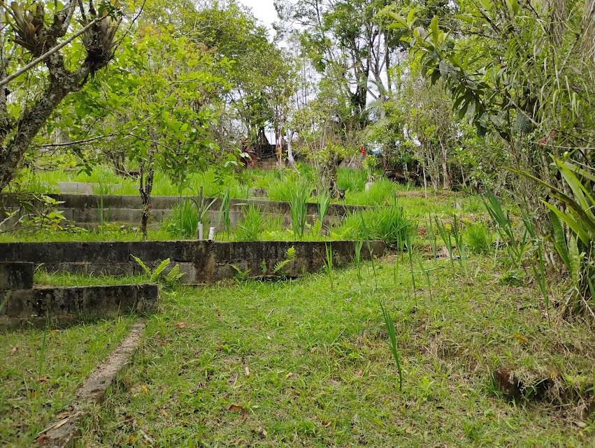 Fazenda à venda com 2 quartos, 2300m² - Foto 19