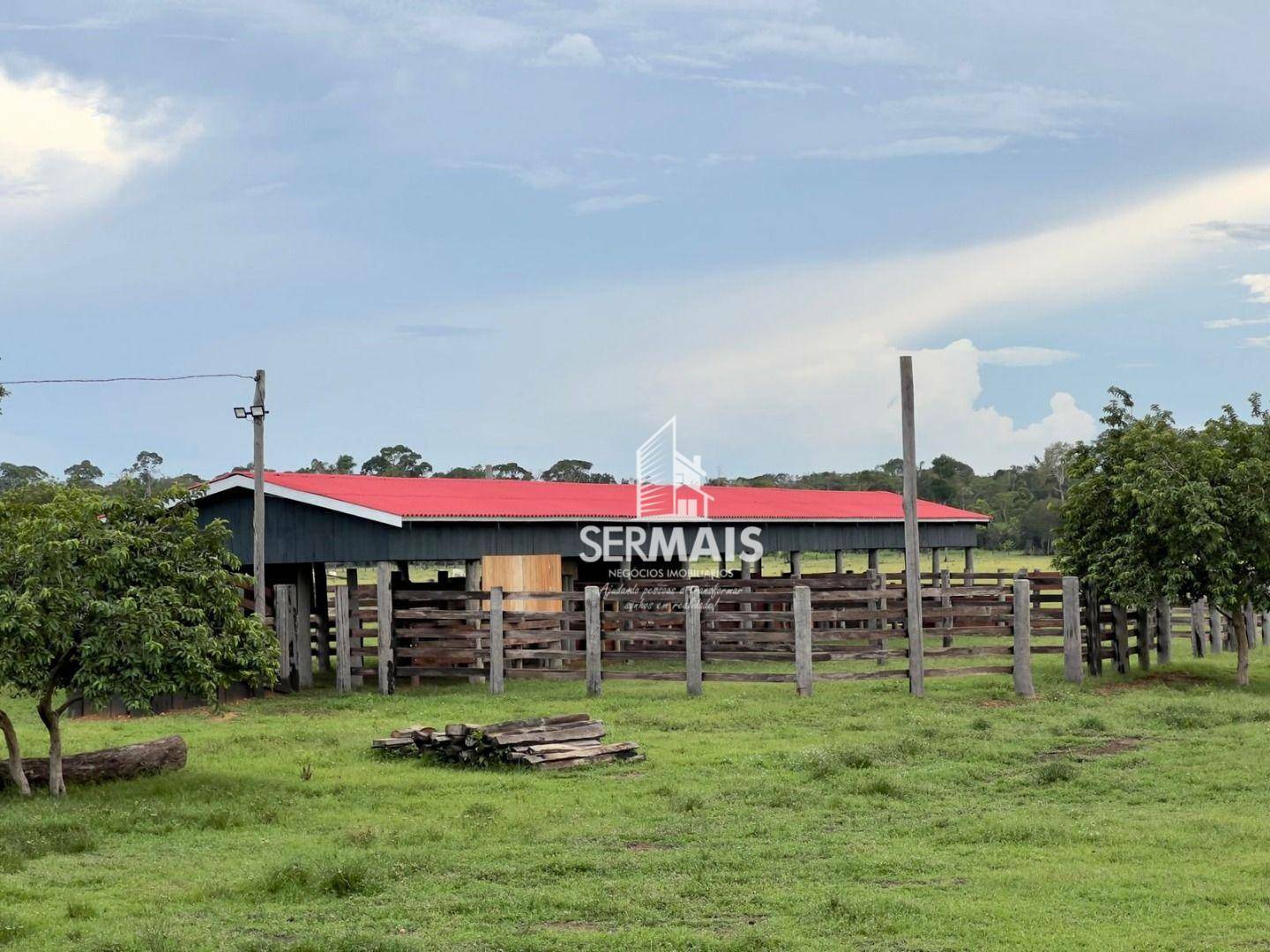 Fazenda-Sítio-Chácara, 772 hectares - Foto 3