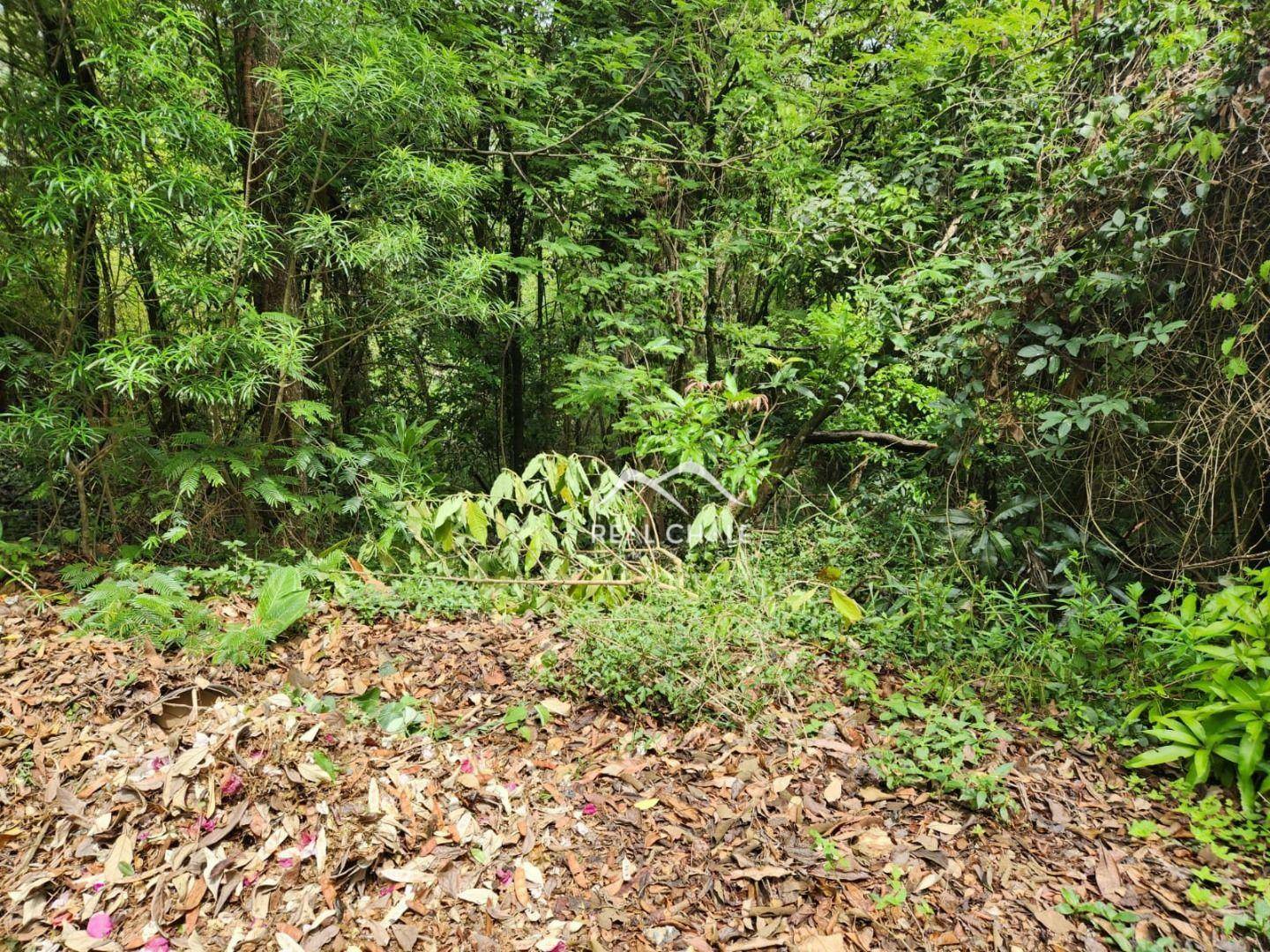 Loteamento e Condomínio à venda, 1000M2 - Foto 1