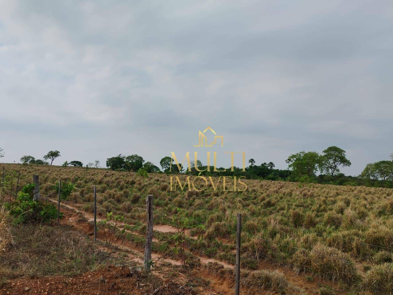 Fazenda à venda com 3 quartos, 3920000M2 - Foto 3