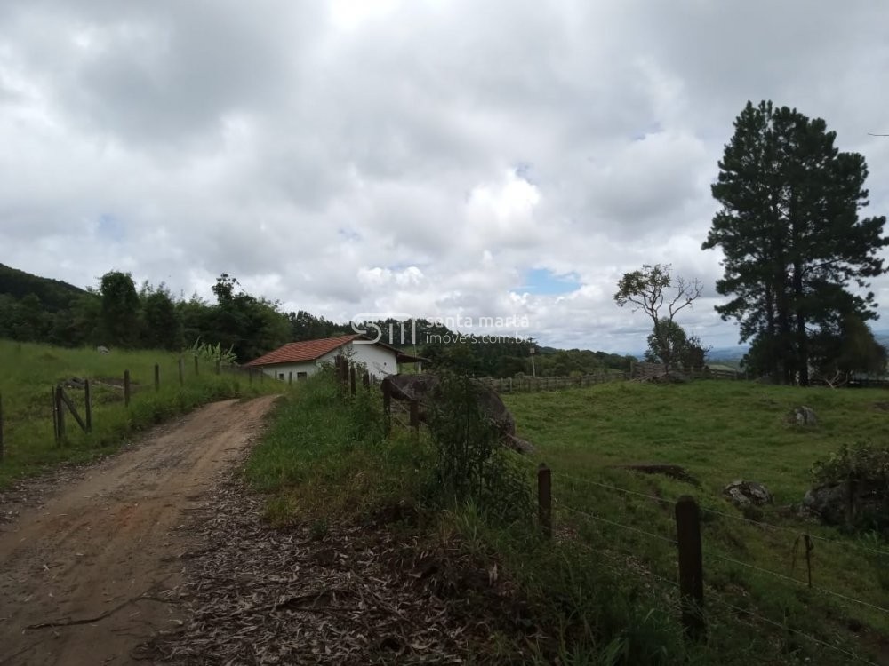 Fazenda à venda com 2 quartos, 24m² - Foto 30