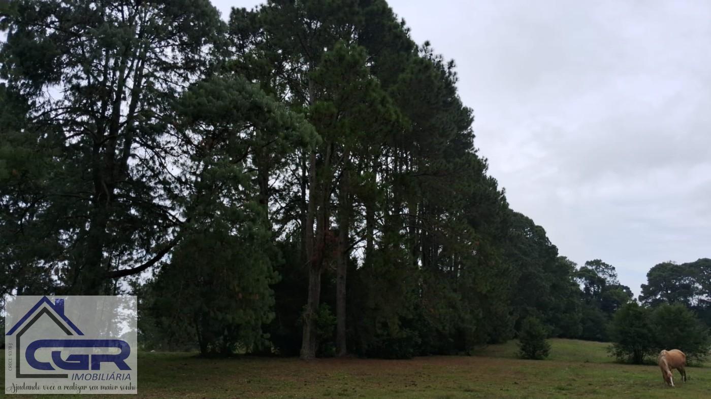 Loteamento e Condomínio à venda, 143200m² - Foto 9