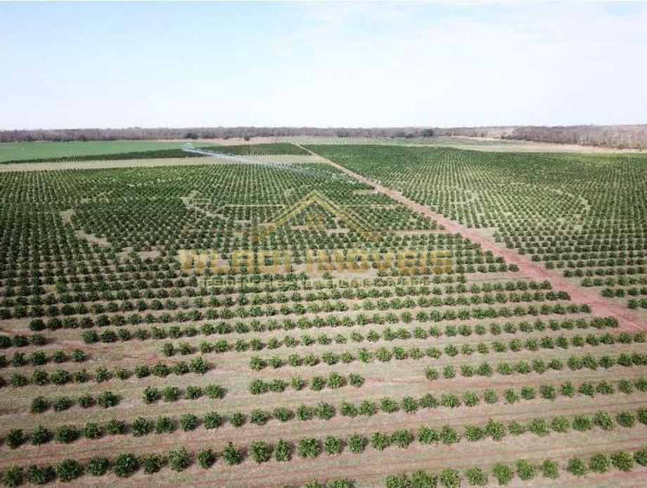 Fazenda à venda, 158m² - Foto 18