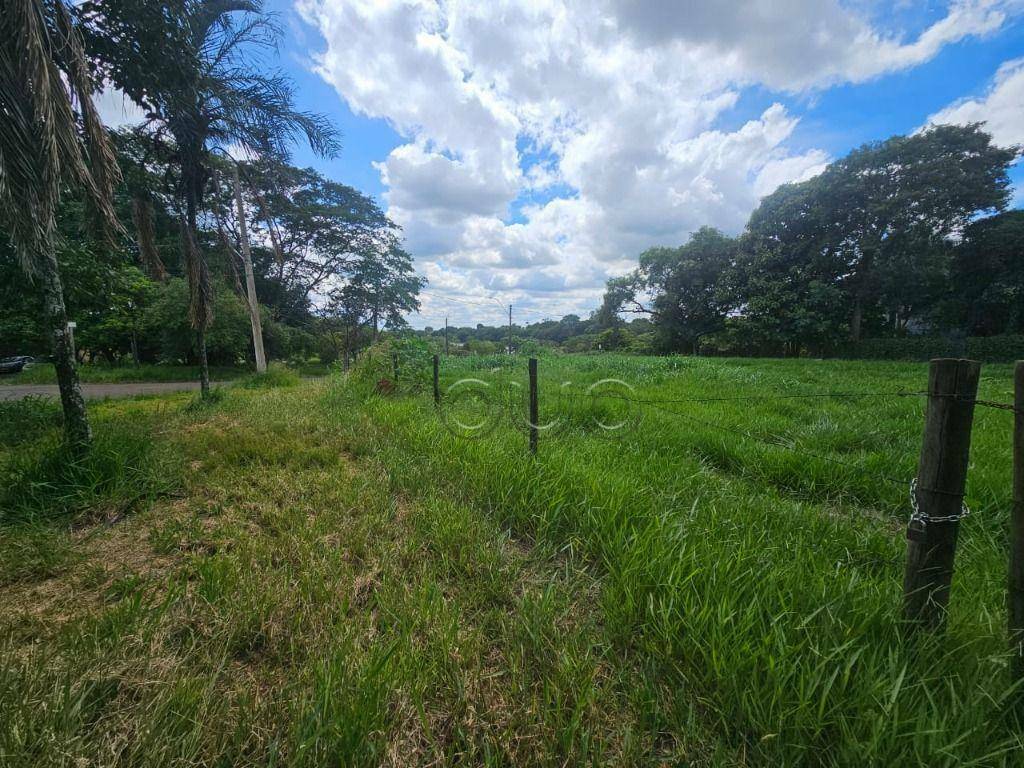 Terreno, 3245 m² - Foto 4