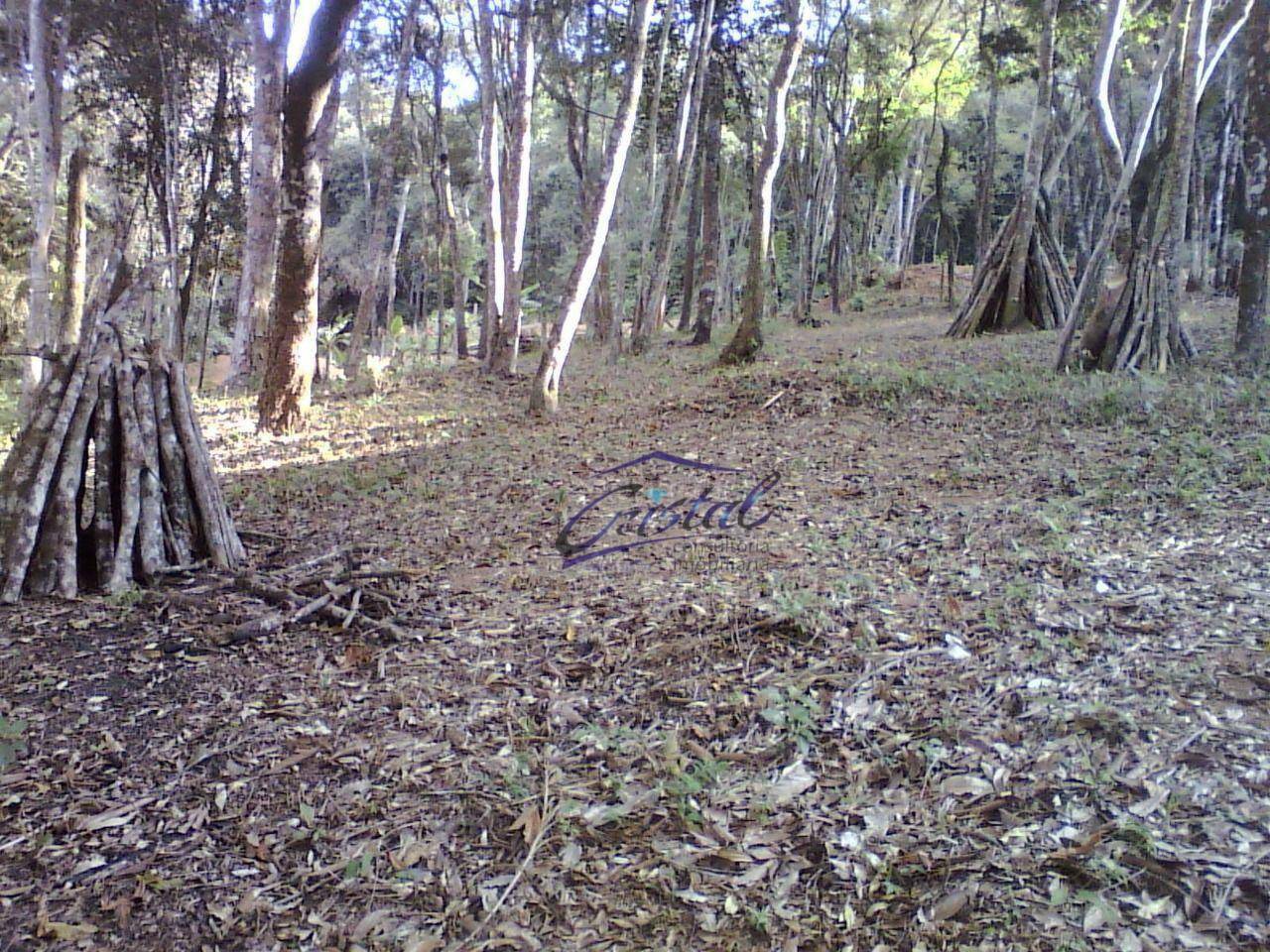 Terreno à venda, 1600M2 - Foto 13