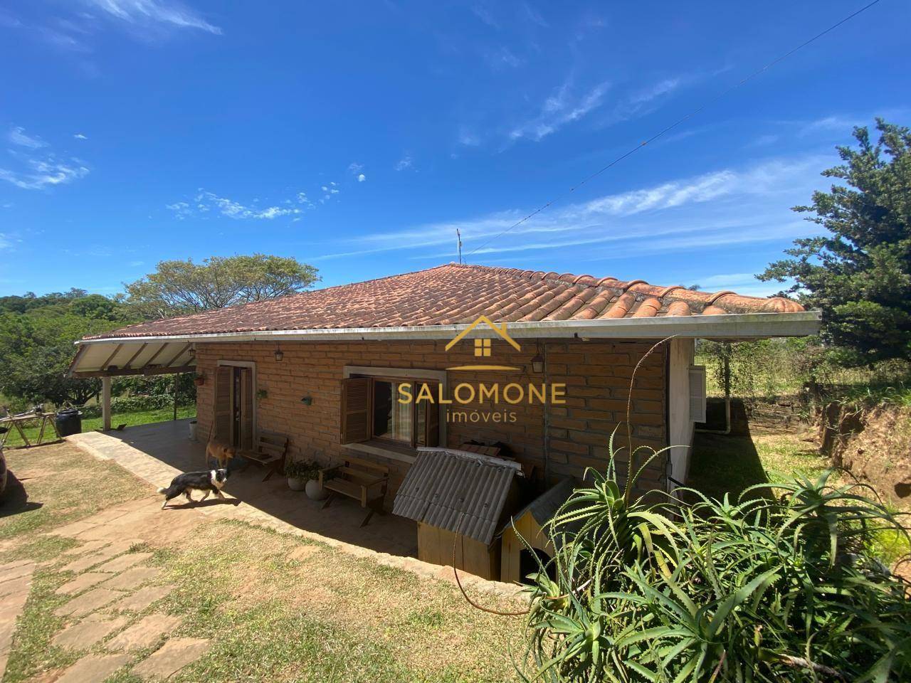 Sítio, 2 quartos, 1000 m² - Foto 2