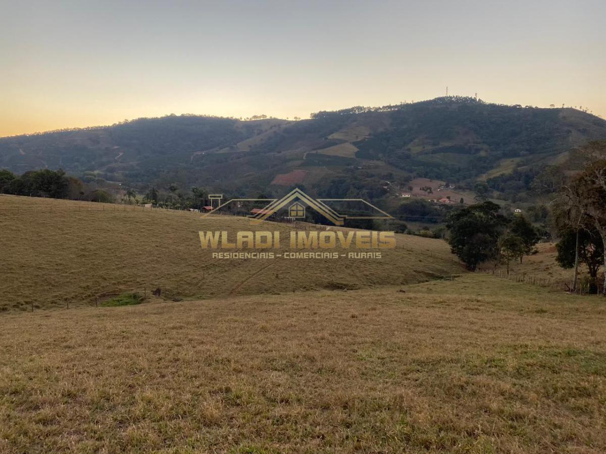 Fazenda à venda com 3 quartos, 12m² - Foto 4