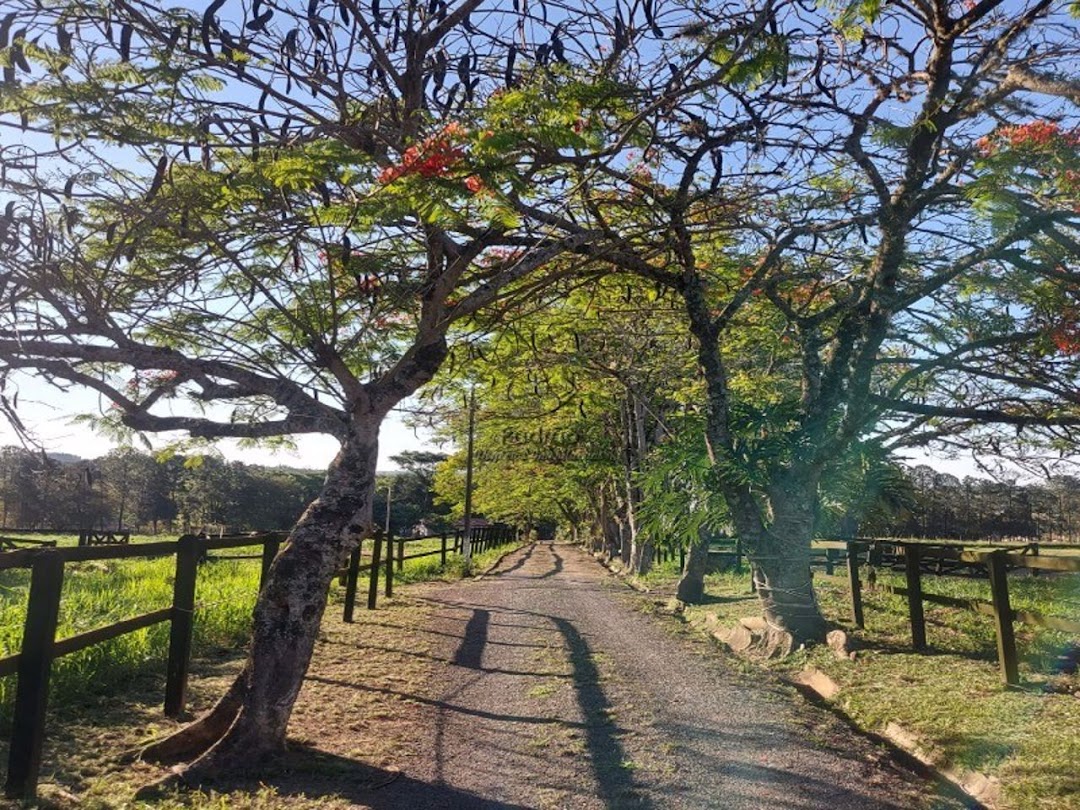 Haras e Área Rural Padrão à venda com 7 quartos, 242000m² - Foto 8