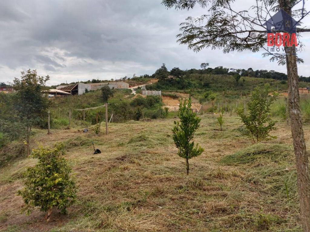 Terreno à venda, 1225M2 - Foto 3