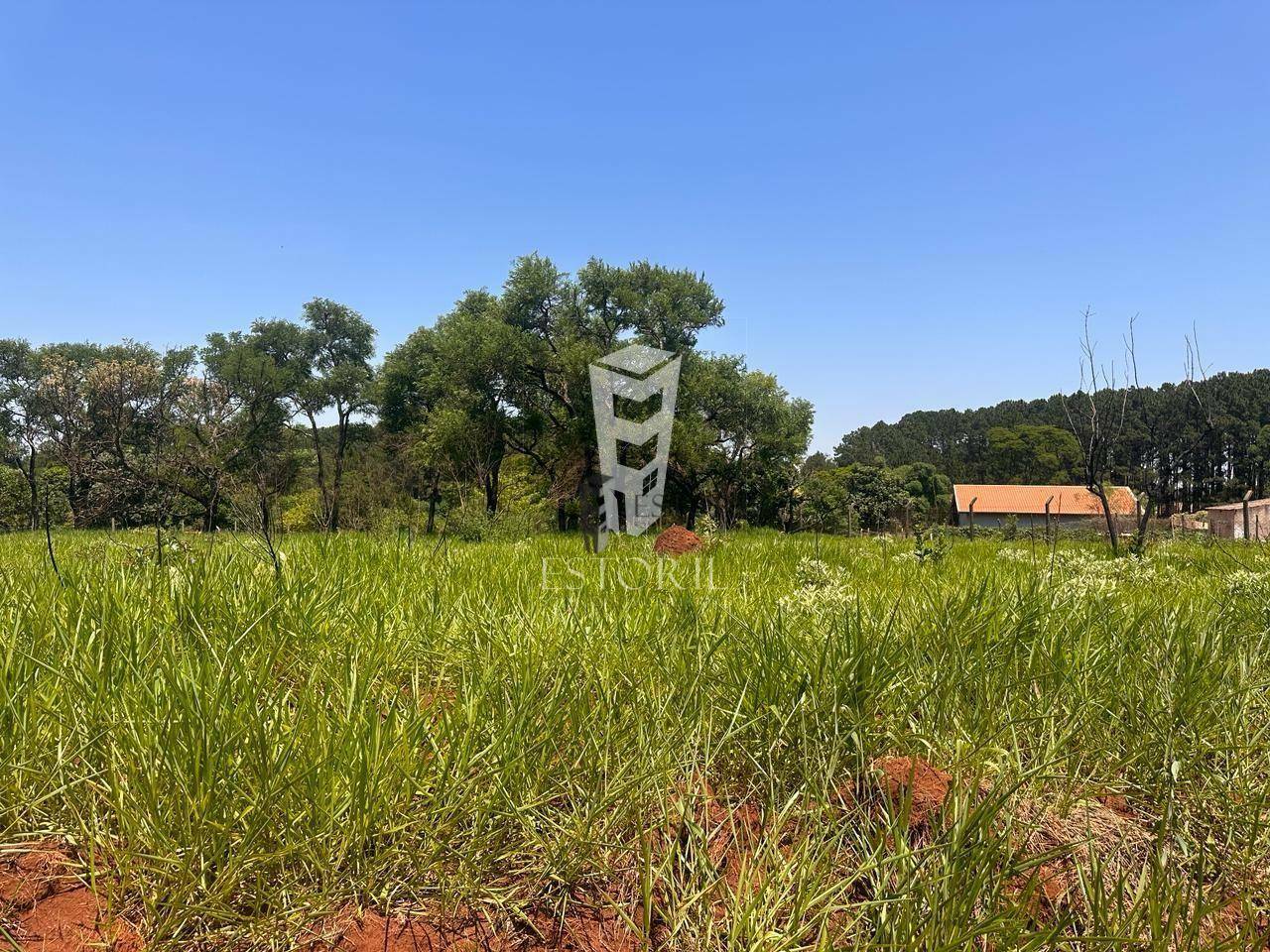 Terreno à venda, 1000M2 - Foto 2