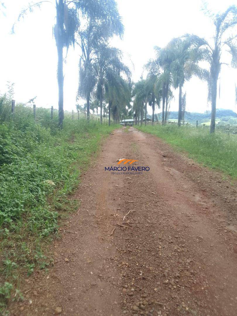 Fazenda, 102 hectares - Foto 19