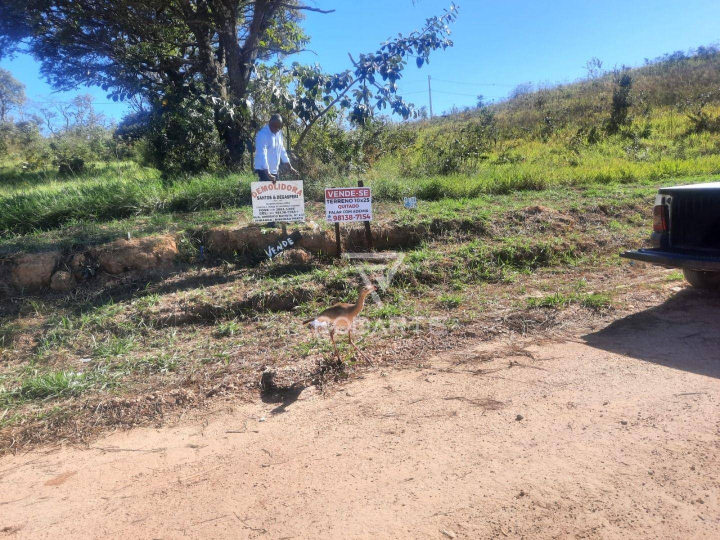 Terreno, 250 m² - Foto 3