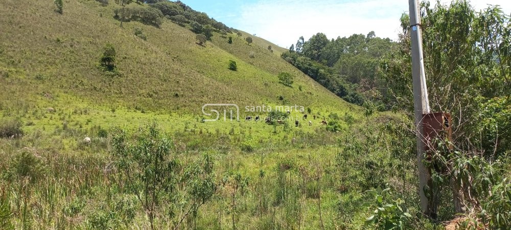 Fazenda à venda com 2 quartos, 150m² - Foto 12