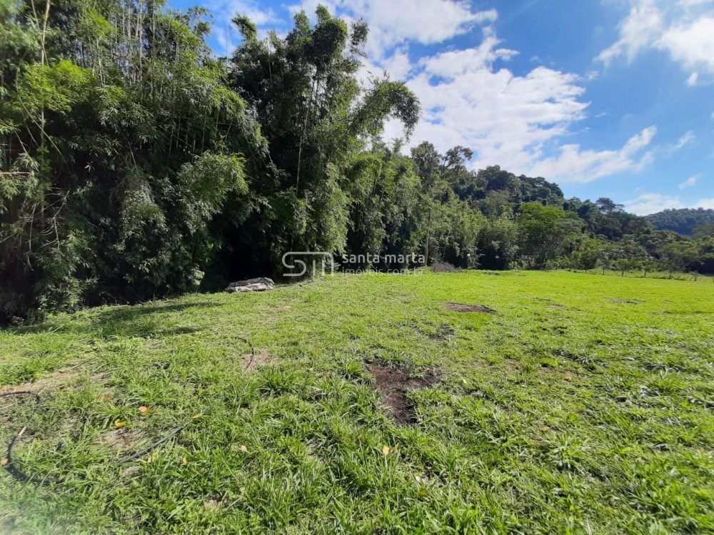 Fazenda à venda com 3 quartos, 150m² - Foto 23