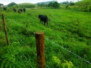 Fazenda à venda com 5 quartos, 140m² - Foto 12