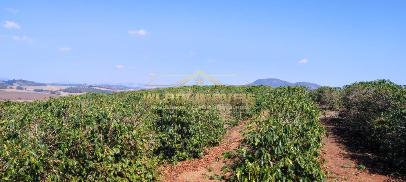 Sítio, 10 m² - Foto 12