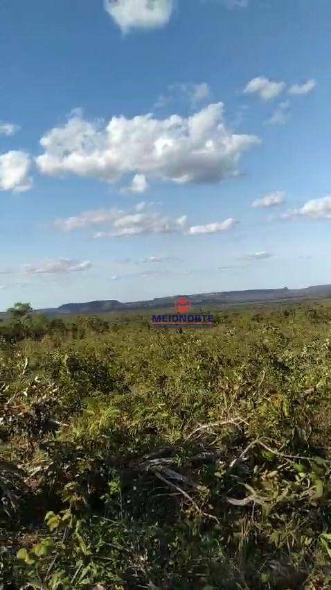 Fazenda à venda com 1 quarto, 17800000M2 - Foto 20