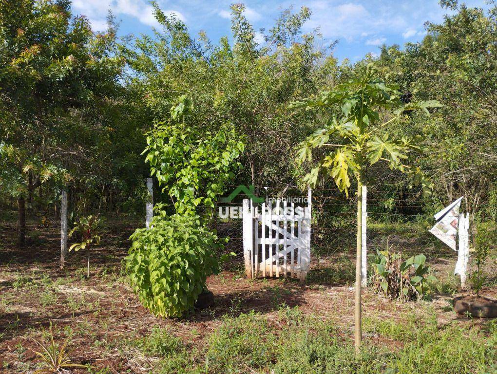 Chácara à venda, 1000M2 - Foto 5