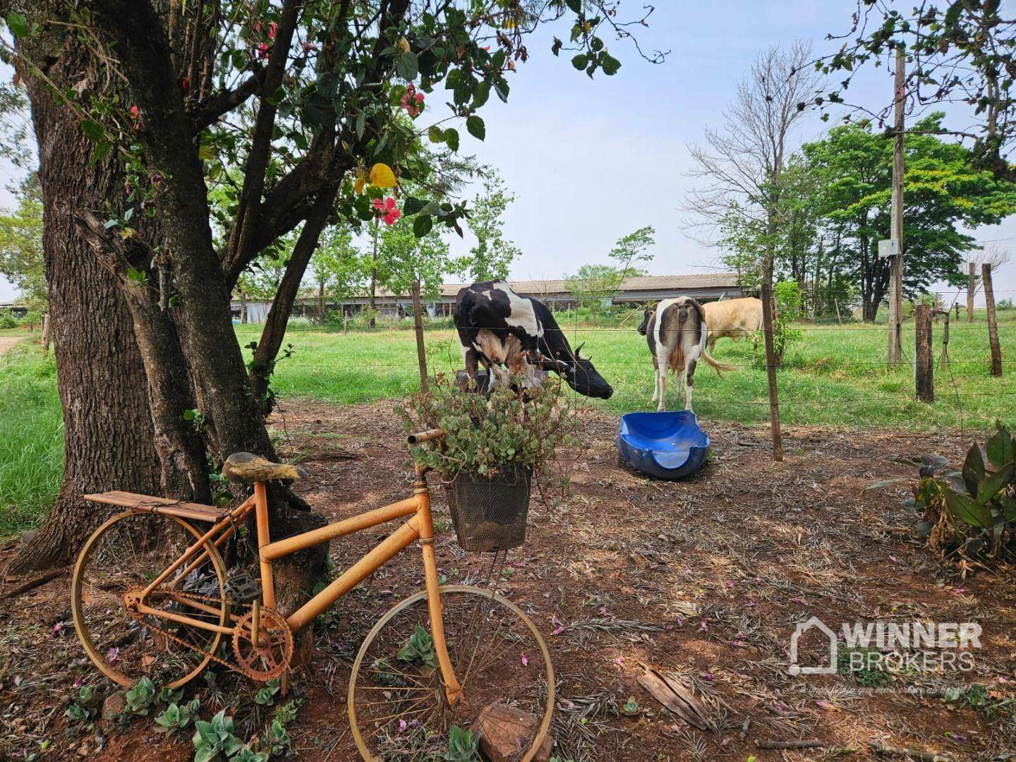 Sítio à venda com 3 quartos, 28000M2 - Foto 20