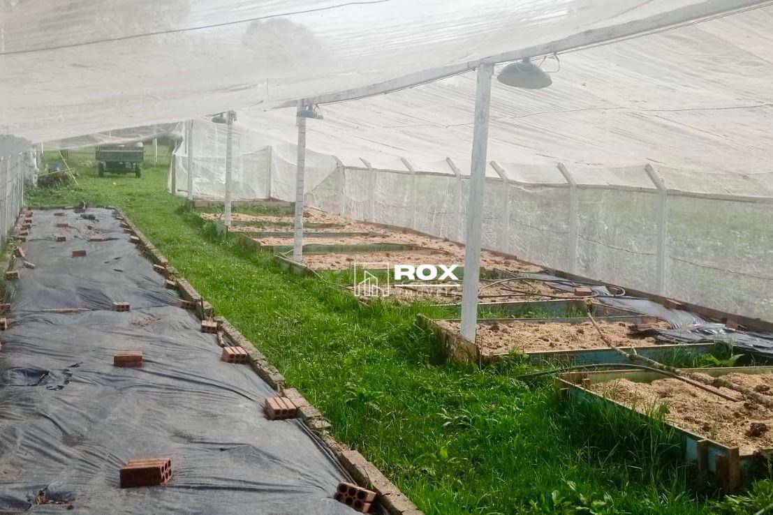 Chácara à venda com 6 quartos, 350m² - Foto 27