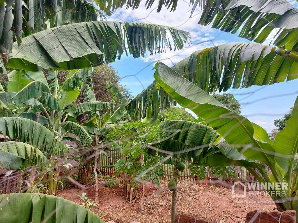 Terreno à venda, 1200M2 - Foto 4