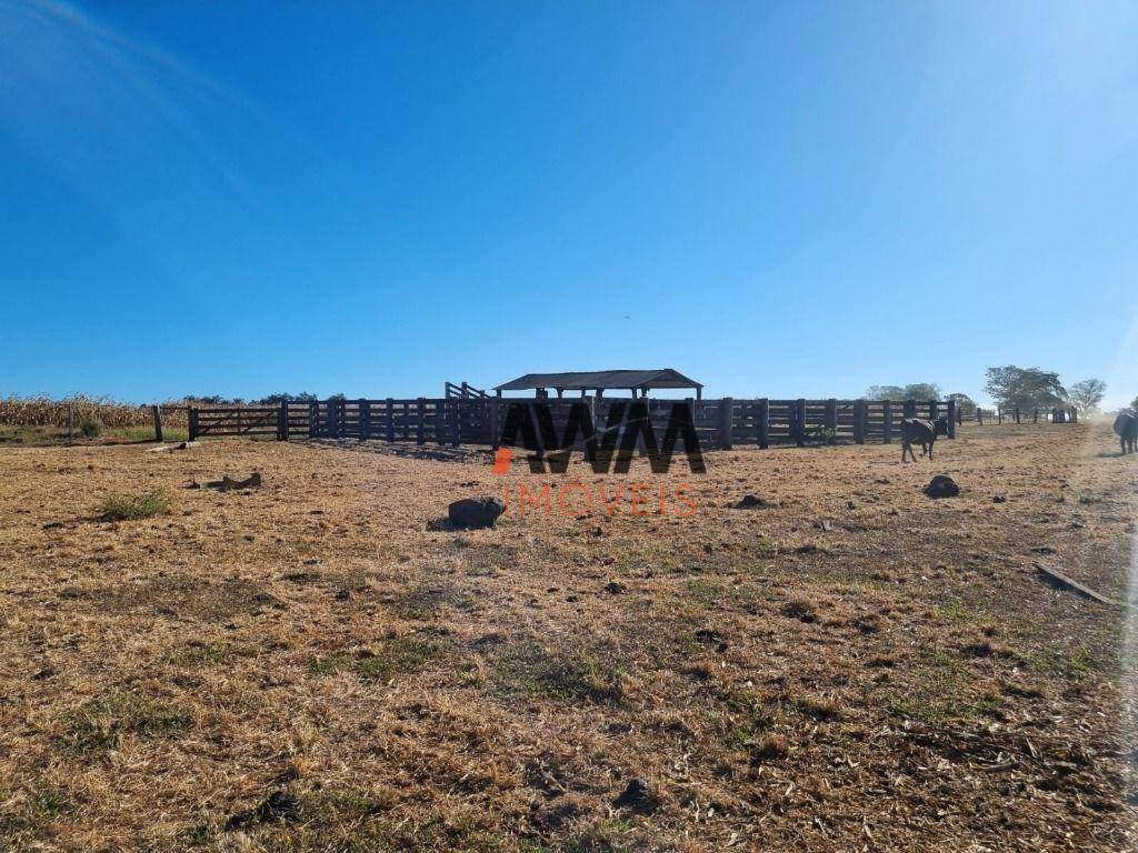 Fazenda à venda, 1250000M2 - Foto 10